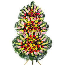 3ȭȯ